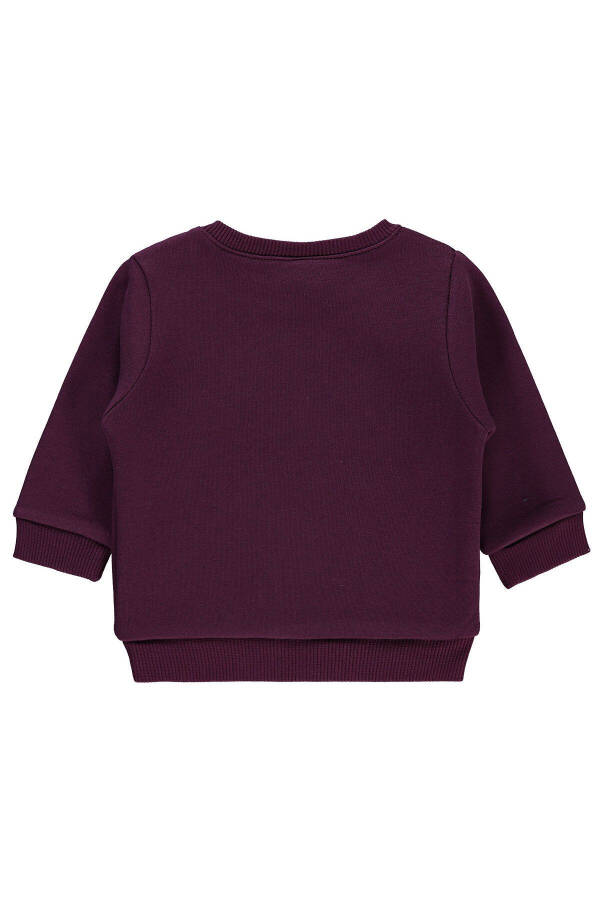 6-18 Ay Bebek Kız Pancar Moru Sweatshirt - 2