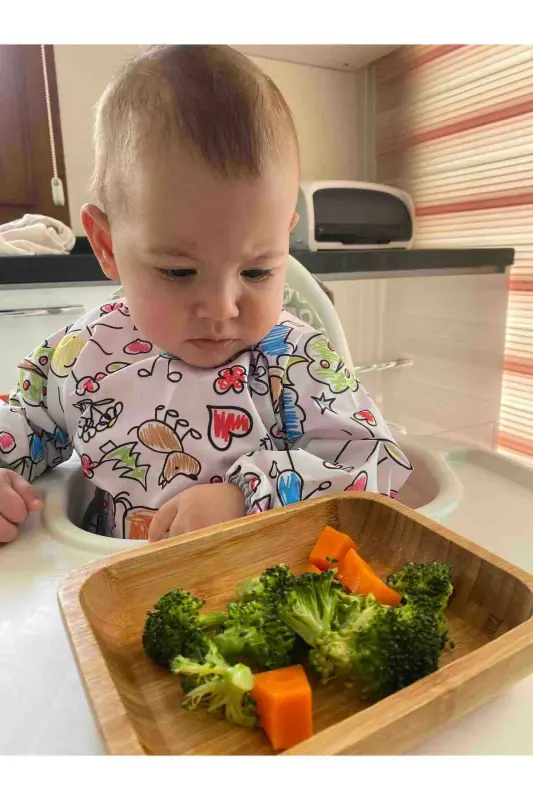 6-24 oy, Family, Suv o'tkazmaydigan, Cho'ntakli, Mashinada yuvish mumkin, Velcro, Uzun yengli bolalar uchun ovqatlanish oldiği - 2