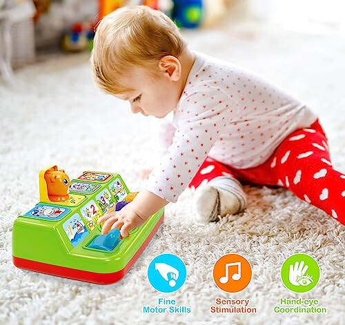 Ellinjan Musical Pop-Up Cause and Effect Toys with Light & Music for 1-3 Year Olds, Baby Interactive Toy with Animal Sounds, Ideal Gifts for Babies Boys Girls - 4