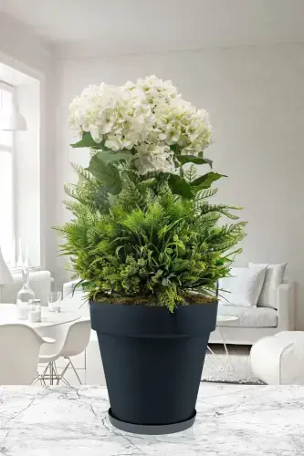 6 Litre Ø24x22cm Mat Antrasit Gri Renk Tabaklı Izgaralı Dekoratif Plastik Saksı Yalı No4-6Lt Antrasit - 1