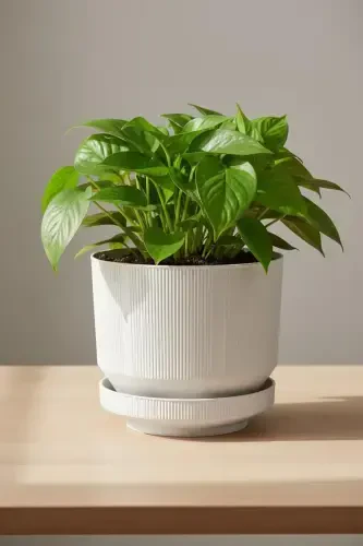 6-литровый серый декоративный роскошный горшок для цветов из пластика с поддоном для внутреннего и наружного использования - 1