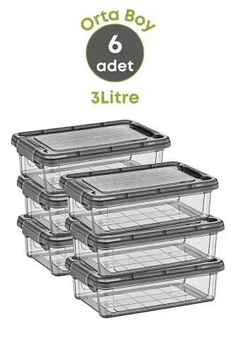 6 Lock Lid Large Food Storage Containers Refrigerator Organizer 3 Lt-6's 3 LT - 3