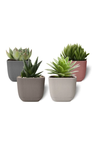 6 Pack 0.27 Liter Mixed Color Coral Square Pot Mini Size Plastic Tiny Cactus Succulent Pot - TOXA