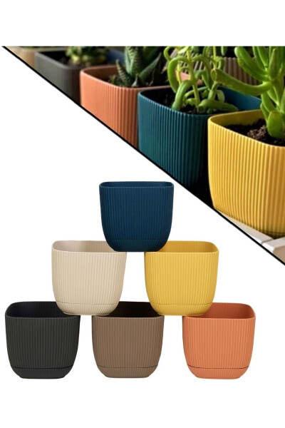 6 Pcs No 3 1.8 Lt Decorative Cactus and Flower Pot Square Pot - 1