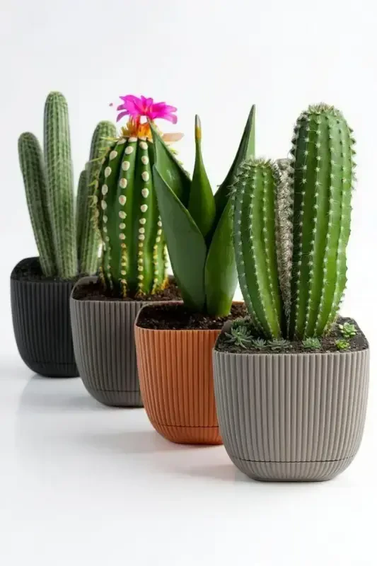 6 Pcs No 3 1.8 Lt Decorative Cactus and Flower Pot Square Pot - 3