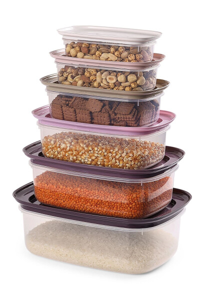 6 Piece Vicksy Purple Storage Container - DECOVETRO