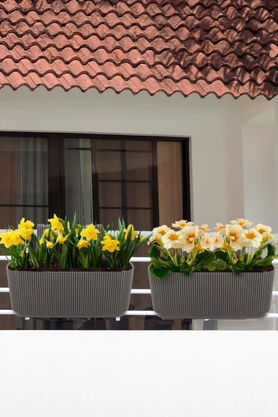 6 Pieces Karasu Plastic Pera Hanging Balcony Planters (With Plastic Clips) - 4