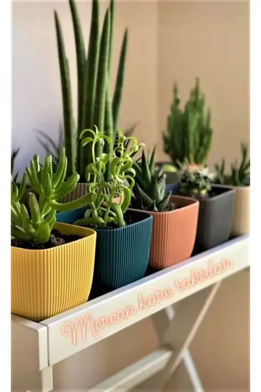 6 Pieces Mini 6 Multicolored Coral Square Pot Set 6 Pieces - 4