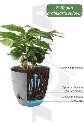 9.2lt Ø27.5x24cm Baklava Desenli Tabaklı Büyük Boy Dekoratif Plastik Saksı Yakamoz No5 Granit Gri - GRANİT GRİ - TOXA (1)