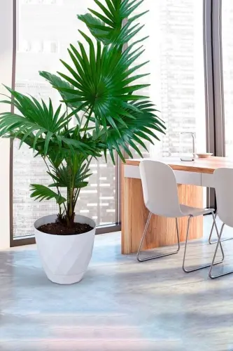 9.2lt Ø27.5x24cm Baklava Desenli Tabaklı Büyük Boy Dekoratif Plastik Saksı Yakamoz No5 Beyaz-BEYAZ - 6