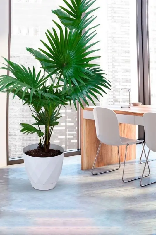 9.2lt Ø27.5x24cm Baklava Desenli Tabaklı Büyük Boy Dekoratif Plastik Saksı Yakamoz No5 Beyaz-BEYAZ - 6