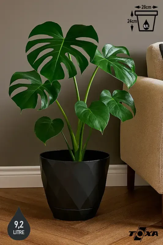 9.2lt Ø27.5x24cm Baklava Desenli Tabakli Katta Hajmli Dekorativ Plastik Saksı Yakamoz No5 Antrasit-ANTRASİT - 1