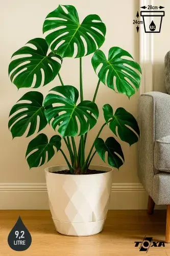 9.2lt Ø27.5x24cm Baklava naqshli plastmassa idishli katta dekorativ guldon Yakamoz No5 oq rang - 1