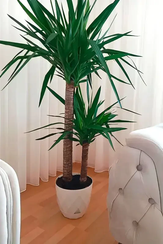 9.2lt Ø27.5x24cm Baklava naqshli plastmassa idishli katta dekorativ guldon Yakamoz No5 oq rang - 5