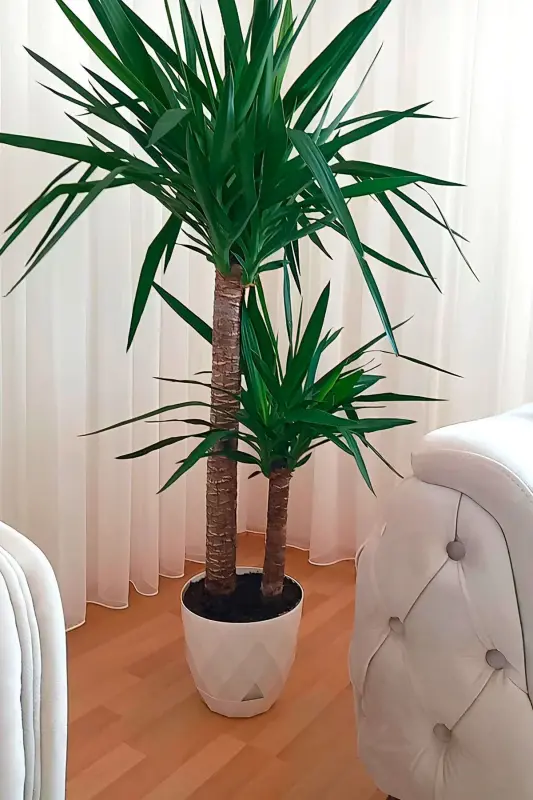 9.2lt Ø27.5x24cm Baklava naqshli plastmassa idishli katta dekorativ guldon Yakamoz No5 oq rang - 5