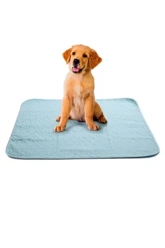 Abso Washable Absorbent Dog Pad (2 Pack) (75 X 85 Cm.) - 1