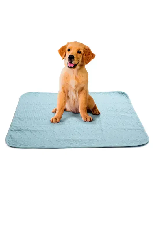 Abso Washable Absorbent Dog Pad (2 Pack) (75 X 85 Cm.) - GENEL MARKALAR