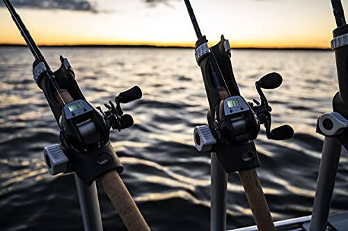 Abu Garcia Max Raqamli Simi Sanashtiruvchi Past Profil Baitcast Makarasi, O'lcham LP (1498727), Uglerod Tolali Yulduz Tormozi, Maksimal 20lb | 9.0kg, Chidamli, Yengil va Kuchli, Qora - 5