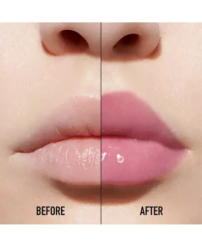 Addict Lip Maximizer Gloss - 006 Berry (A light fuchsia) - 3