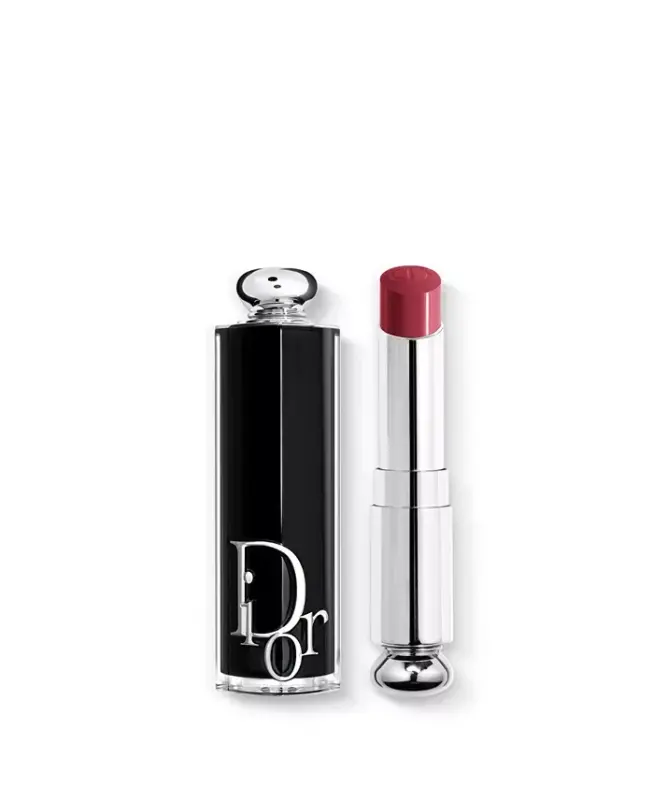 Addict Refillable Shine Lipstick-667 Diormania (A rosewood) - 1