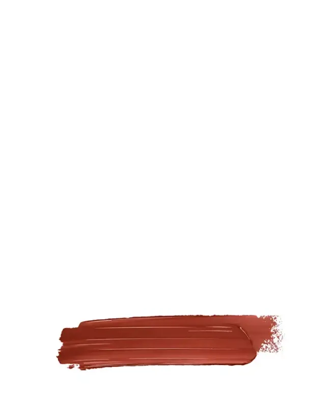 Addict Refillable Shine Lipstick-812 Tartan (A brown red) - 2