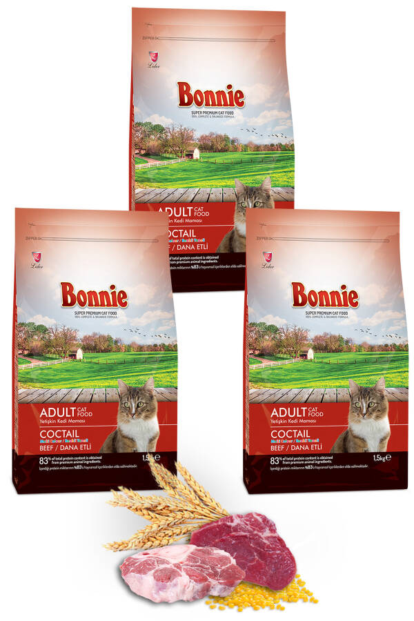 Adult Cat Food with Colorful Grain and Beef 1.5 Kg X 3 Pieces - 5