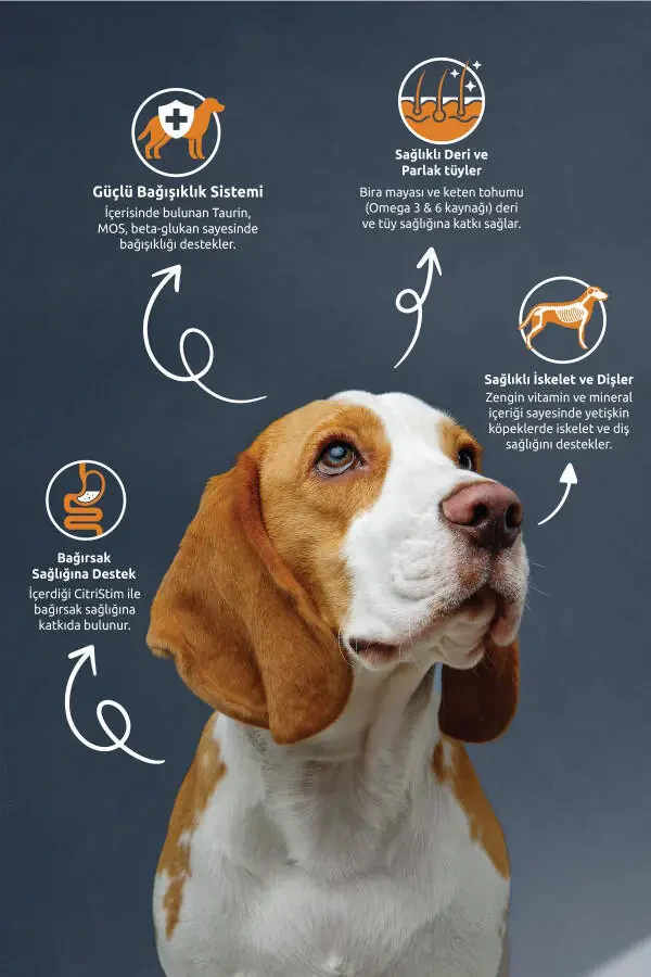 Adult Lamb & Rice Adult Dog Food 10 Kg - 2