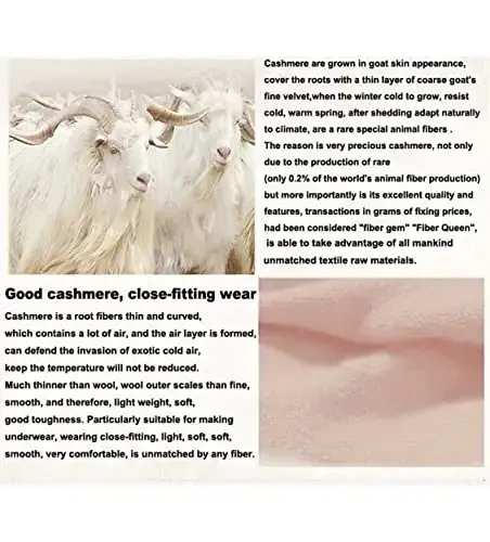 Ailaile CasModazoneere Berets Shlyapalar Ayollar Qishki iliq merinos junidan to'qilgan katta hajmli bej shapka - 4