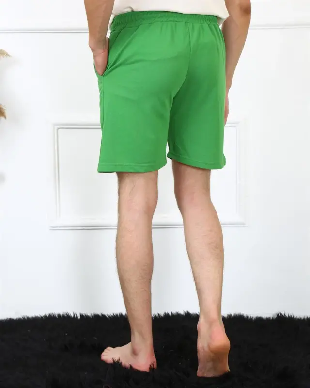 Akbeniz Erkek Lakost Fıstık Yeşili Şort 27487 - 5