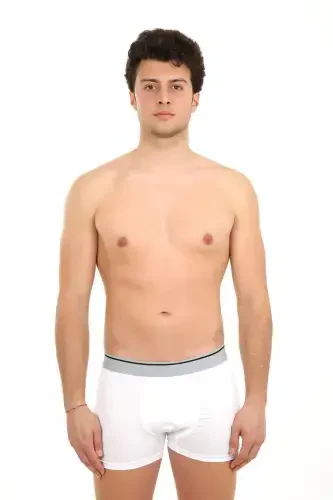 Akbeniz Erkek Likralı Boxer 40056 - AKBENIZ (1)