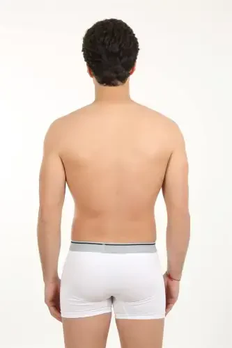 Akbeniz Erkek Likralı Boxer 40056 - AKBENIZ (1)