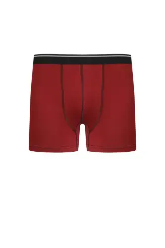 Akbeniz Erkek Pamuk Likralı Bordo 40133 - AKBENIZ (1)