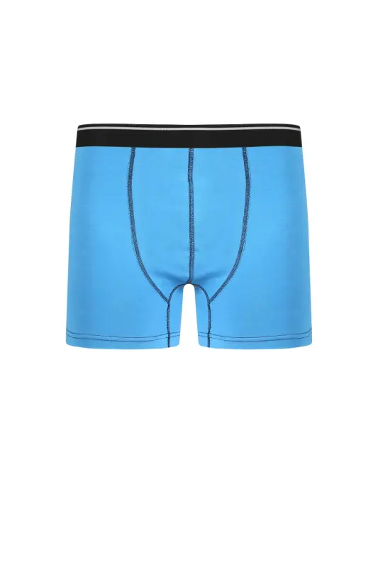 Akbeniz Erkek Pamuk Likralı Boxer Mavi 40133 - 2