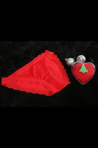 Akbeniz Women's Christmas Red Slip - AKBENIZ (1)