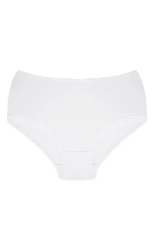 Akbeniz Women's Plus Size Briefs White 40264 - AKBENIZ