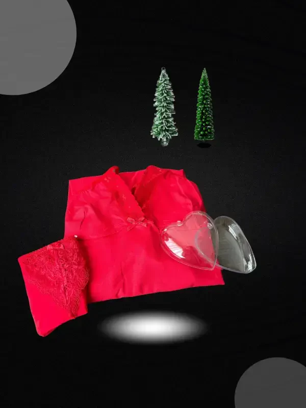 Akbeniz Женский Новогодний Подарочный Набор из 2 слипов в особой коробке в форме сердца и ночной сорочки 2025 - AKBENIZ