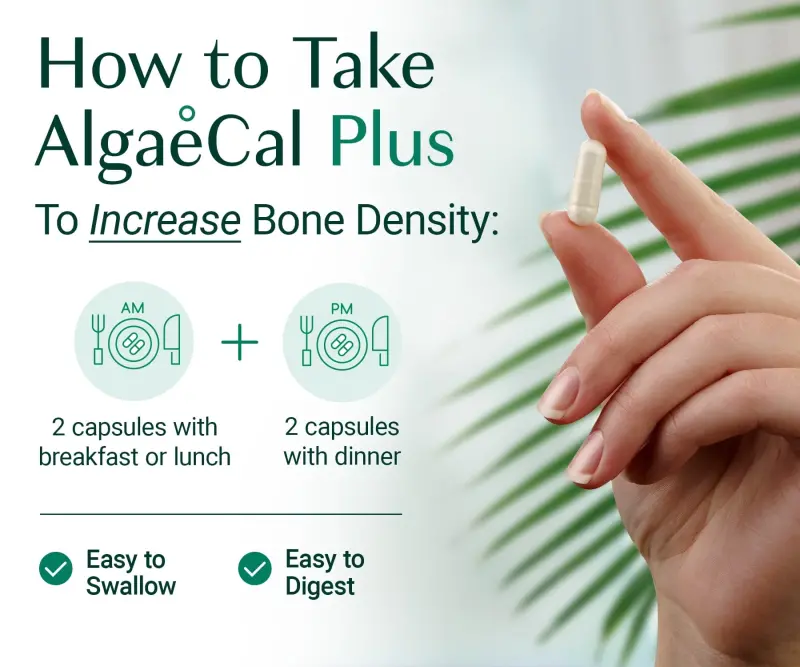 AlgaeCal Plus - Plant-Based Calcium with Vitamin D, K2-MK7 for Women & Men, Clinically Supported to Increase Bone Density, 1-Month Supply - ALGAECAL