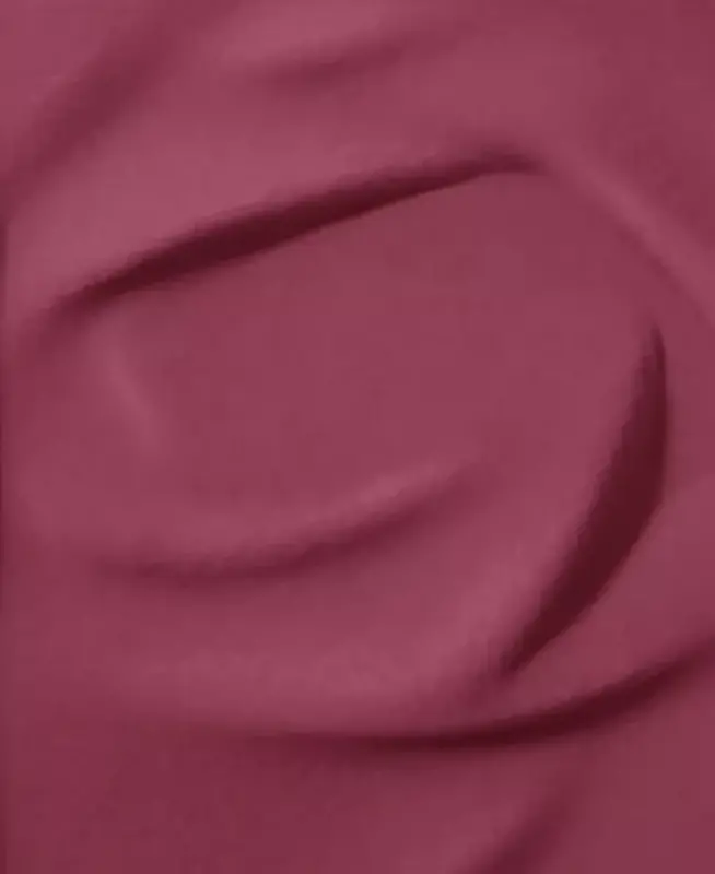 Blush Subtil Powder Blush - NEW! 1000 BERRY BISOUS - 2