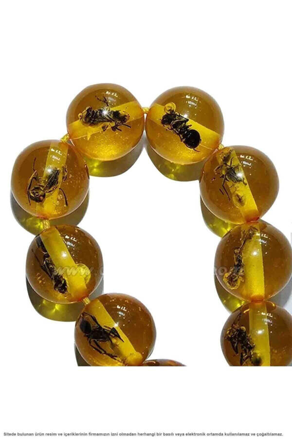 Amber Tesbih Amber Tesbih Ant Fossil Beyisa Globe Section Genuine Dust Tesbih - 4