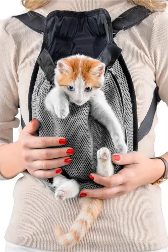 Ana Kucağı Kedi Ve Köpek Taşıma Çantası Kanguru Kedi Ve Köpek Taşıma Çantası - gri - NORTHERN FASHION (1)