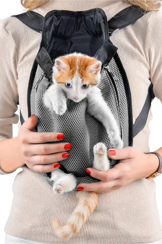 Ana Kucağı Kedi Ve Köpek Taşıma Çantası Kanguru Kedi Ve Köpek Taşıma Çantası - gri - 2