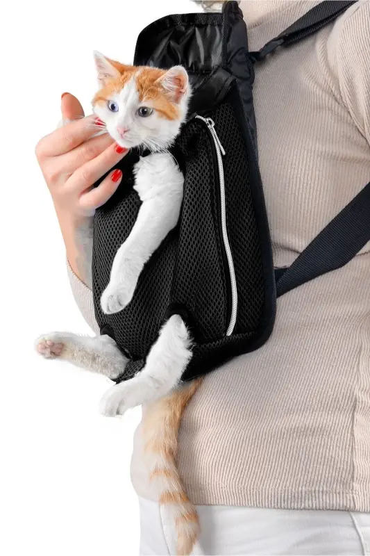 Ana Kucağı Kedi Ve Köpek Taşıma Çantası Kanguru Kedi Ve Köpek Taşıma Çantası - siyah - NORTHERN FASHION