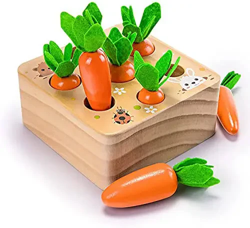 Ancaixin Montessori Toys for Babies 6-12 Months, Wooden Toys for 1 Year Old Boys and Girls, Educational Carrot Harvest Toy for Toddlers, Shape Sorting Matching Puzzle, Developmental Birthday Gifts - 16