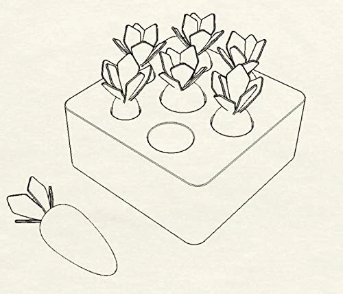 Ancaixin Montessori Toys for Babies 6-12 Months, Wooden Toys for 1 Year Old Boys and Girls, Educational Carrot Harvest Toy for Toddlers, Shape Sorting Matching Puzzle, Developmental Birthday Gifts - 14