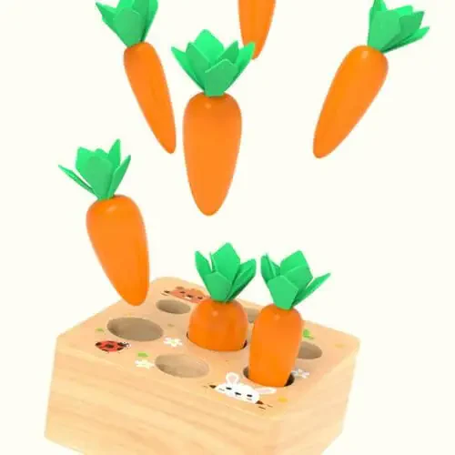 Ancaixin Montessori Toys for Babies 6-12 Months, Wooden Toys for 1 Year Old Boys and Girls, Educational Carrot Harvest Toy for Toddlers, Shape Sorting Matching Puzzle, Developmental Birthday Gifts - 6