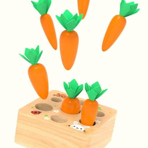 Ancaixin Montessori Toys for Babies 6-12 Months, Wooden Toys for 1 Year Old Boys and Girls, Educational Carrot Harvest Toy for Toddlers, Shape Sorting Matching Puzzle, Developmental Birthday Gifts - 6