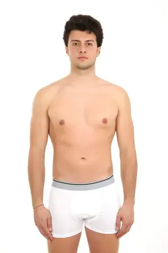 Angelino Erkak Likrali Boxer 40056 - 3