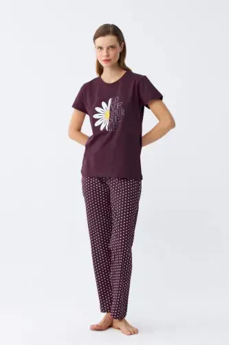 Angelino Kadın Mürdüm Papatya Baskılı Kısa Kollu Penye Pijama Takımı - 3