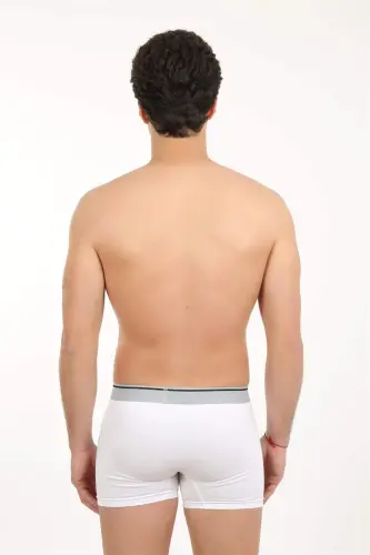 Angelino Men's Lycra Boxer 40056 - BÜYÜKBEDENIZ (1)
