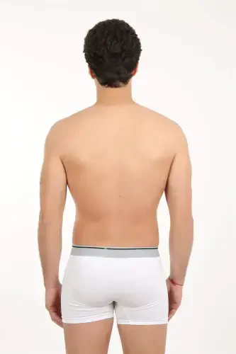 Angelino Men's Lycra Boxer 40056 - BÜYÜKBEDENIZ (1)